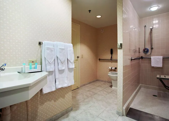 Hilton Chicago/oakbrook Terrace Hotel 3*