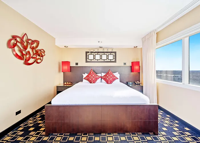 Hotel Hilton Chicago/oakbrook Terrace Oakbrook Terrace