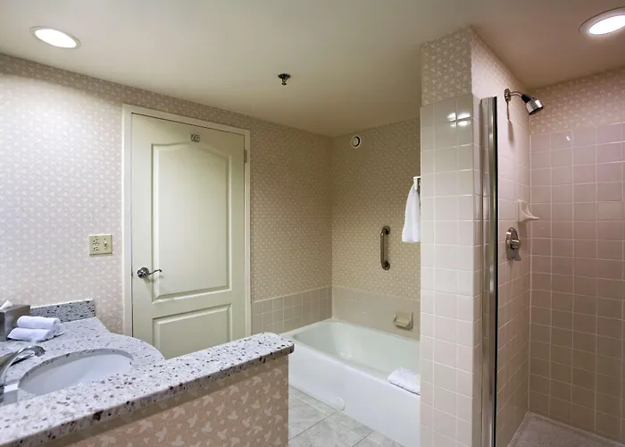 Hilton Chicago/oakbrook Terrace Hotel Oakbrook Terrace