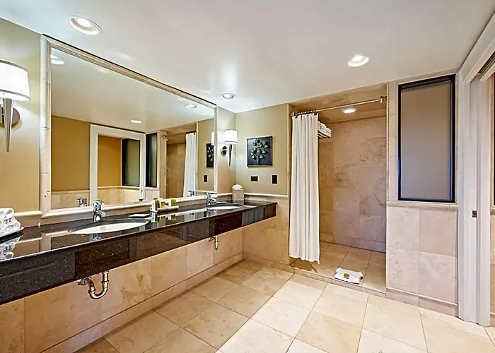 Hotel Hilton Chicago/oakbrook Terrace